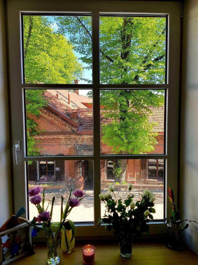 Exceptional Uzupis Bridge 3 Bedroom Apartment VNO Esterno foto