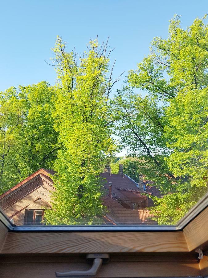 Exceptional Uzupis Bridge 3 Bedroom Apartment VNO Esterno foto